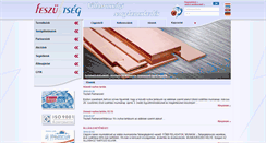 Desktop Screenshot of feszultseg.hu